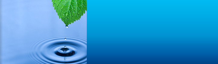 Regular Savings Plan symbolized by a water droplet falling into a pond.